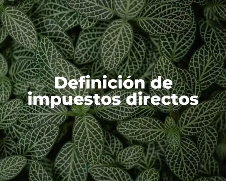 Definición de impuestos directos
