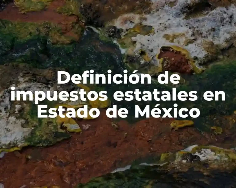 Definición de impuestos estatales en Estado de México