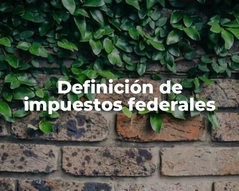Definición de impuestos federales