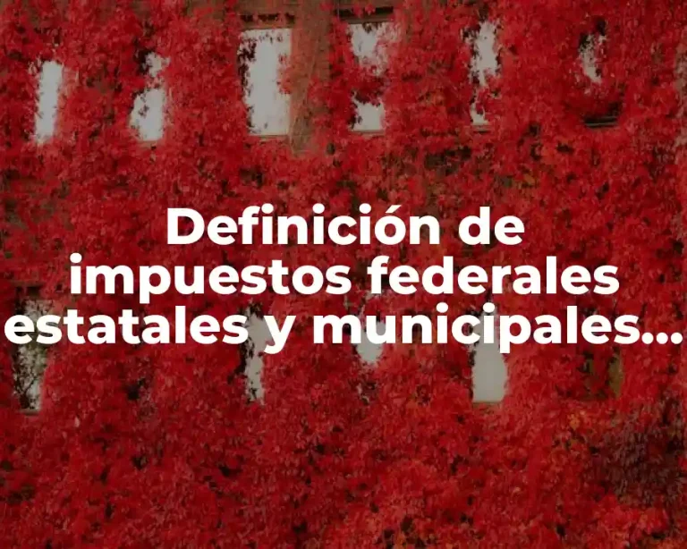 Definición de impuestos federales estatales y municipales en México