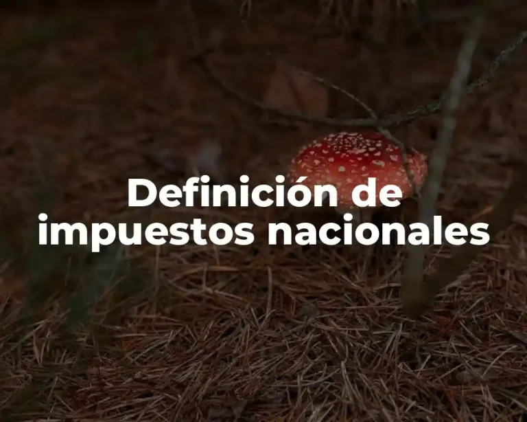 Definición de impuestos nacionales