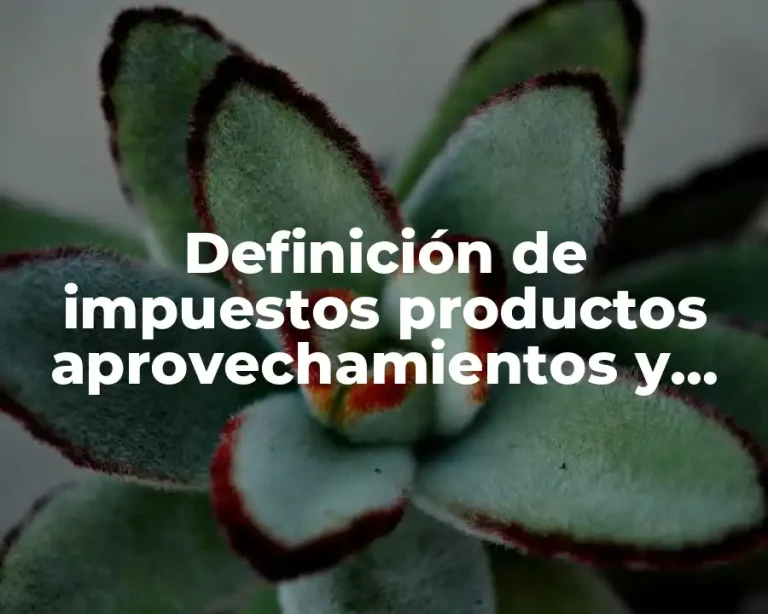 Definición de impuestos productos aprovechamientos y derechos