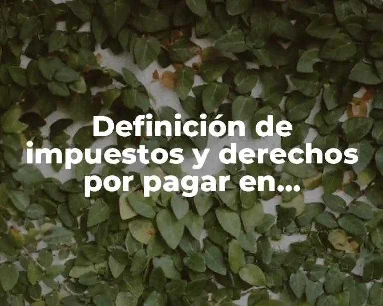 Definición de impuestos y derechos por pagar en contabilidad