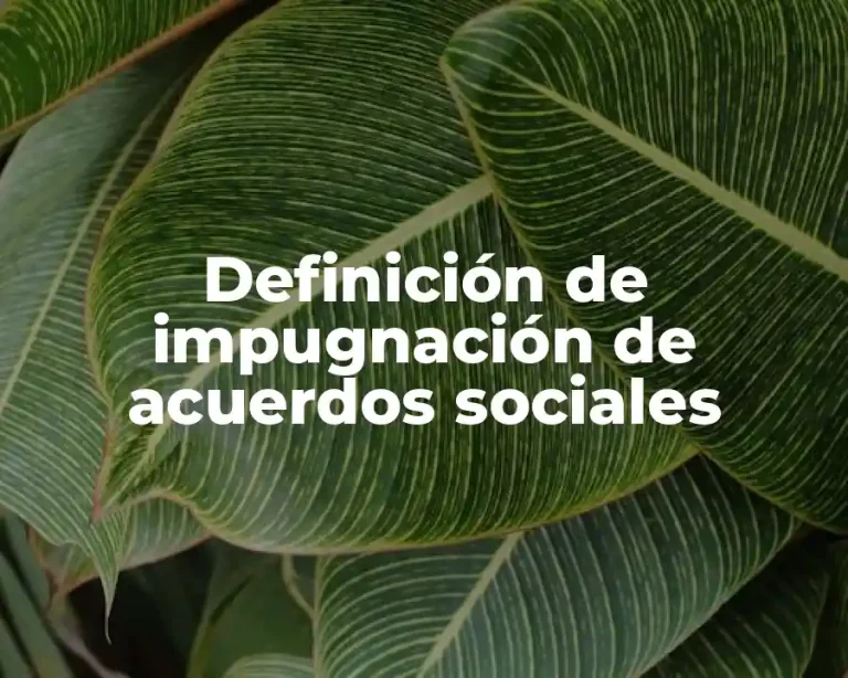 Definición de impugnación de acuerdos sociales