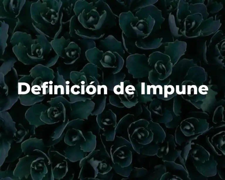 Definición de Impune