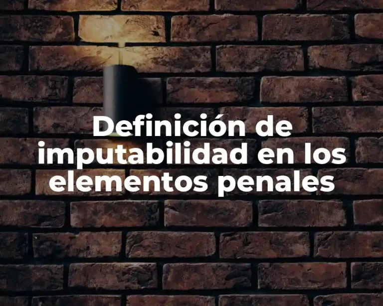 Definición de imputabilidad en los elementos penales
