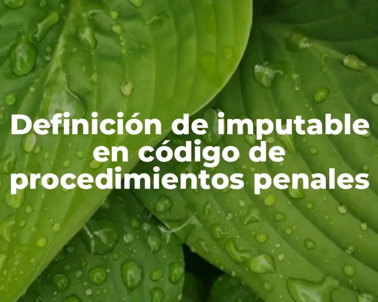 Definición de imputable en código de procedimientos penales