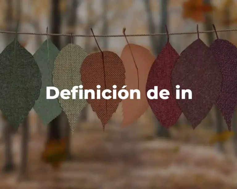 Definición de in