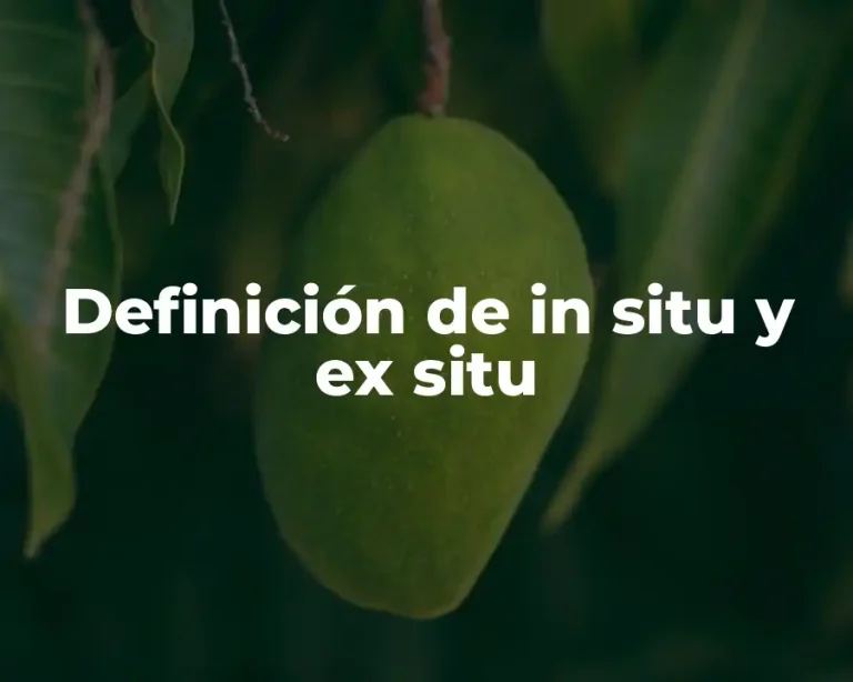 Definición de in situ y ex situ