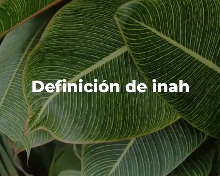 Definición de inah