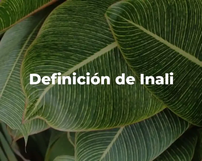 Definición de Inali