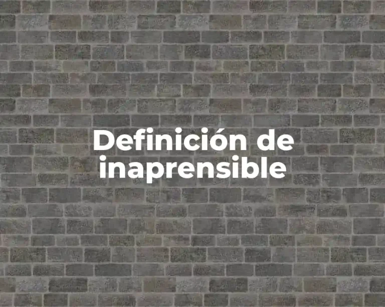 Definición de inaprensible