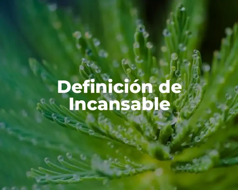 Definición de Incansable