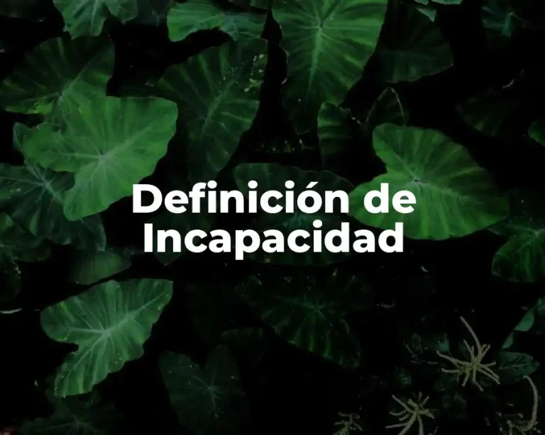 Definición de Incapacidad