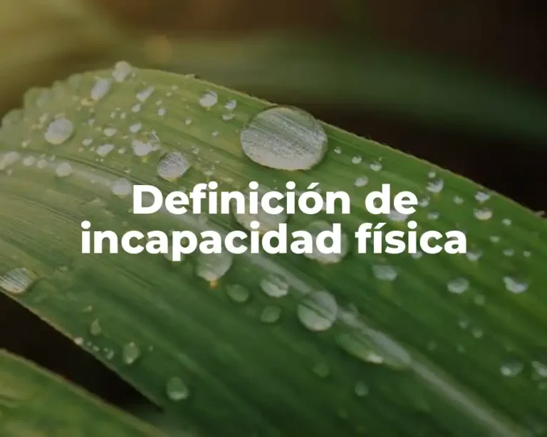 Definición de incapacidad física