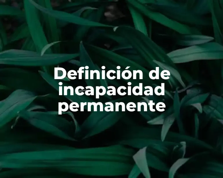 Definición de incapacidad permanente