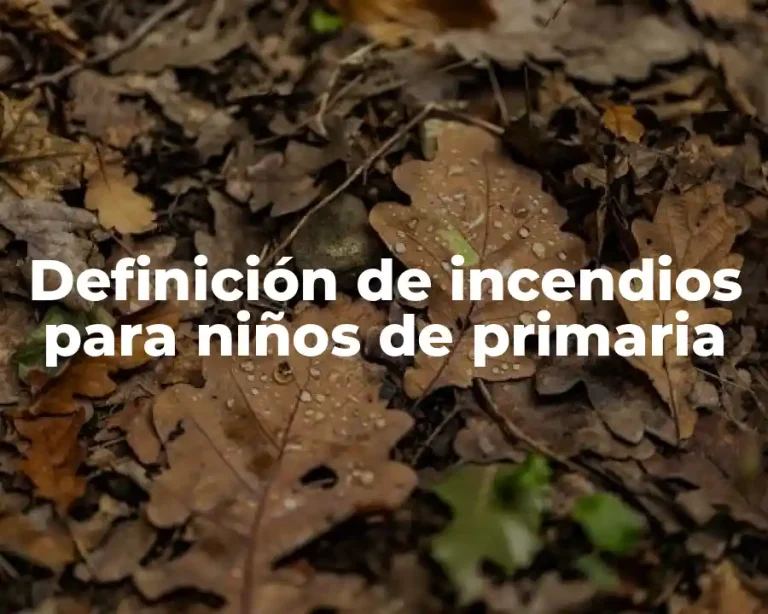 Definición de incendios para niños de primaria