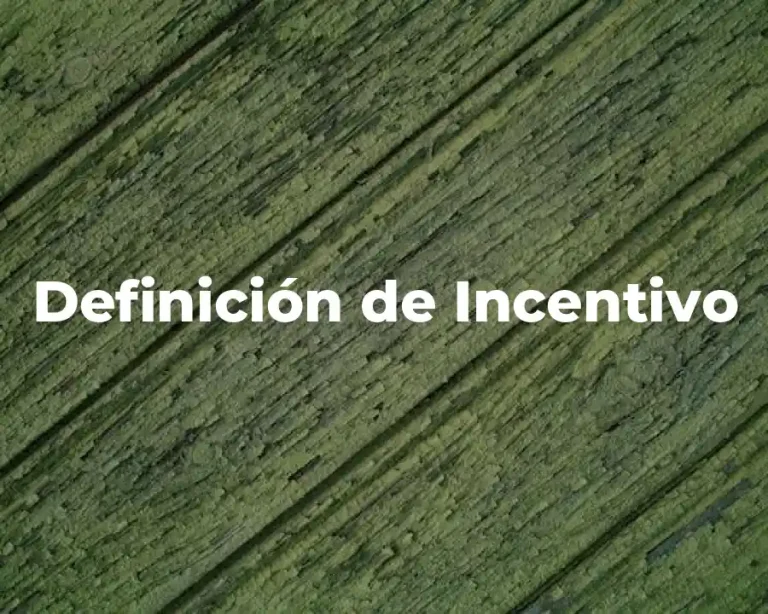 Definición de Incentivo