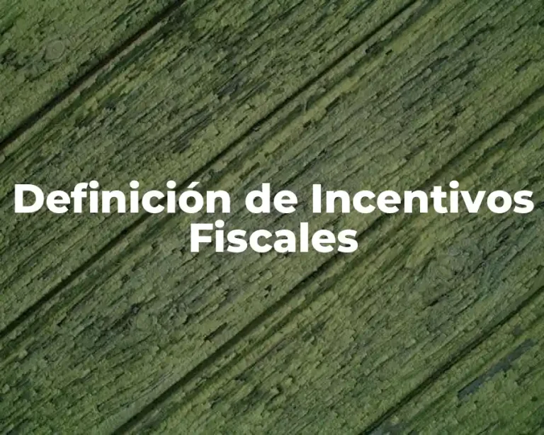 Definición de Incentivos Fiscales