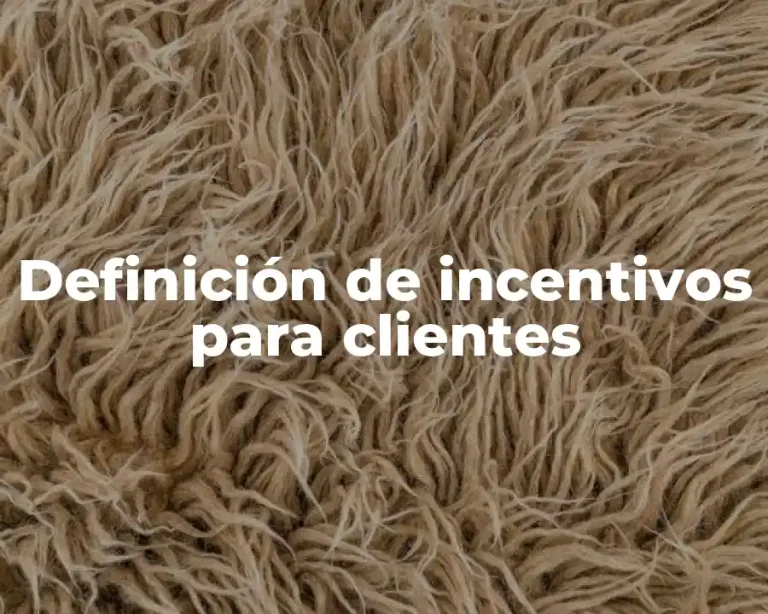 Definición de incentivos para clientes