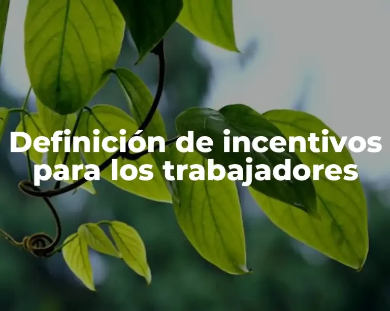 Definición de incentivos para los trabajadores