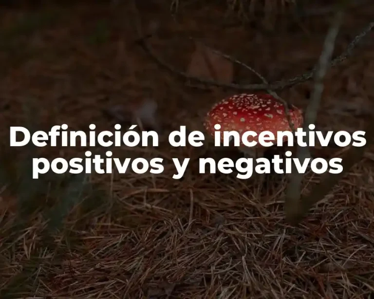 Definición de incentivos positivos y negativos