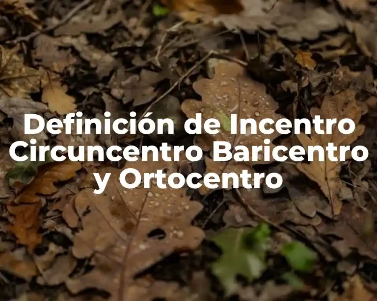 Definición de Incentro Circuncentro Baricentro y Ortocentro