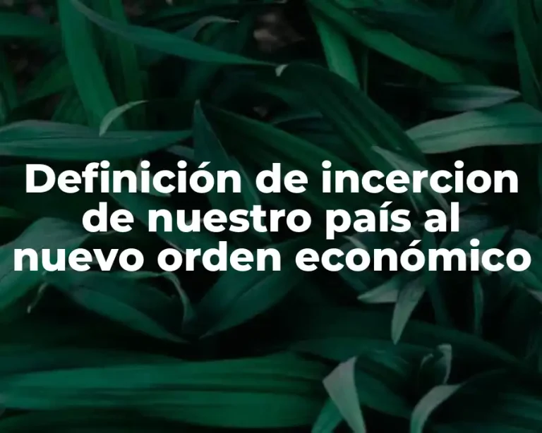 Definición de incercion de nuestro país al nuevo orden económico