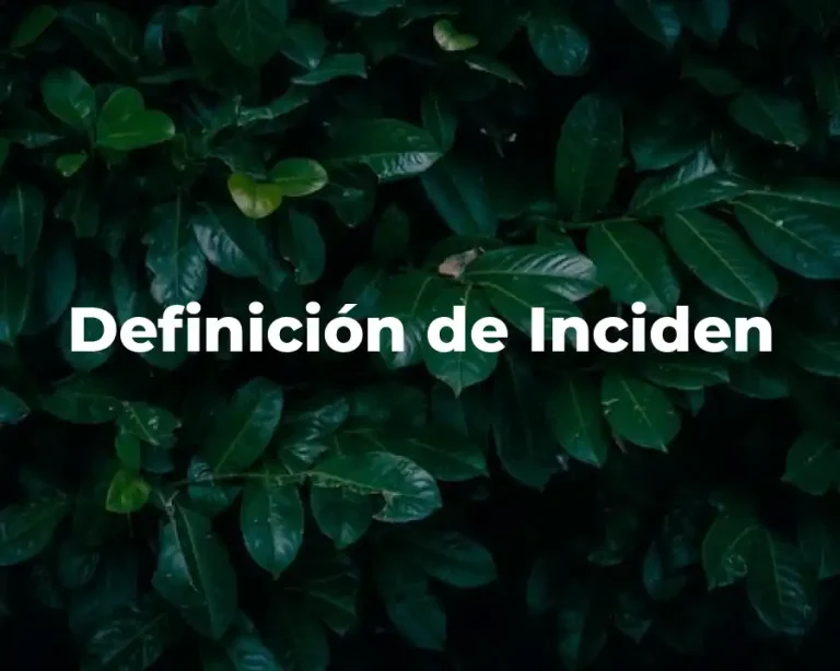 Definición de Inciden