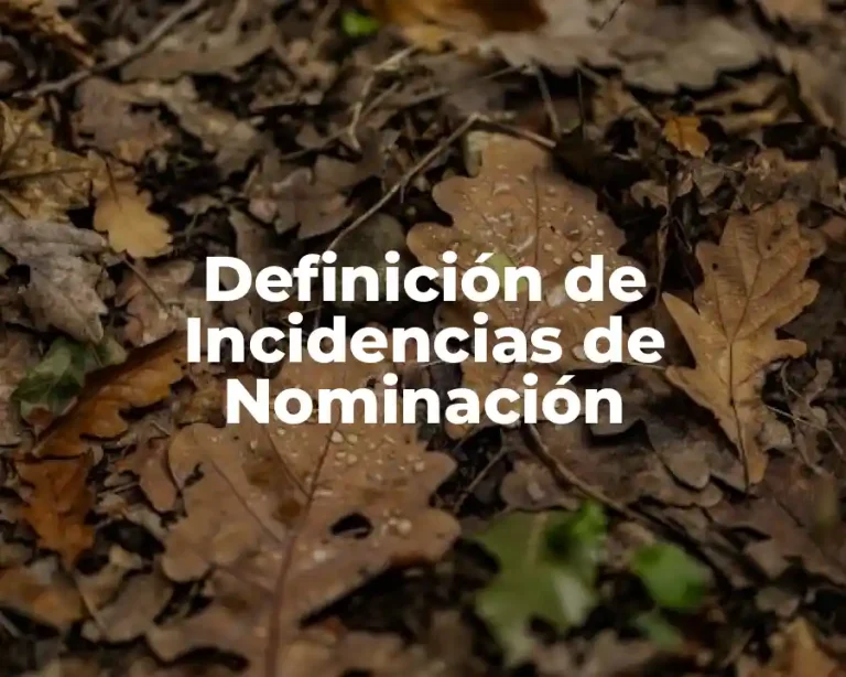 Definición de Incidencias de Nominación