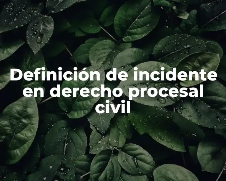 Definición de incidente en derecho procesal civil