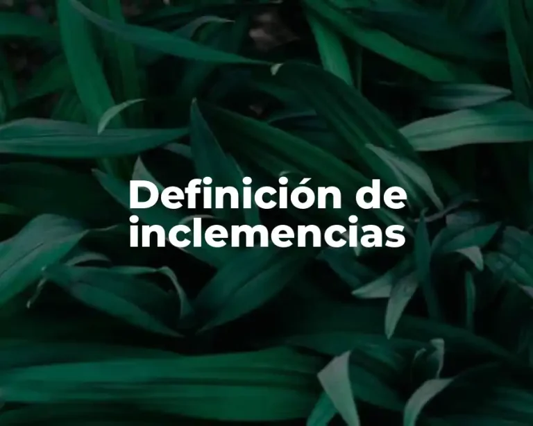 Definición de inclemencias