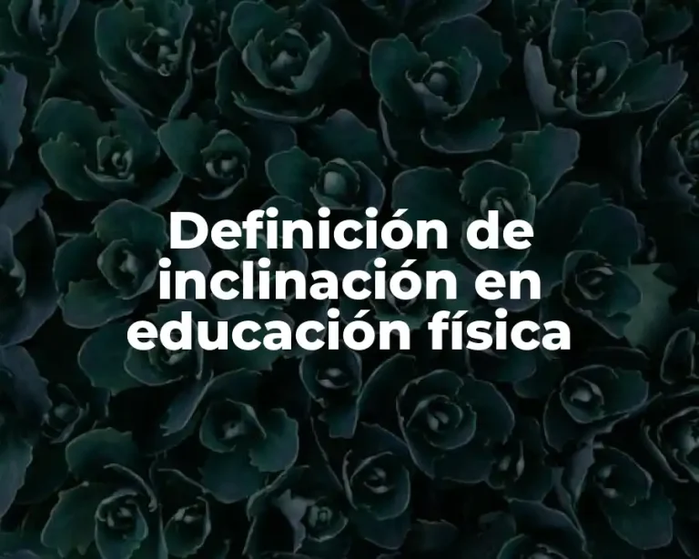 Definición de inclinación en educación física
