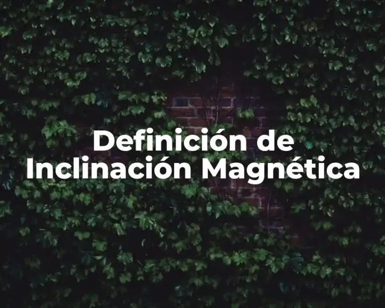Definición de Inclinación Magnética