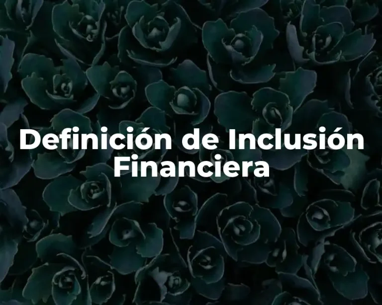 Definición de Inclusión Financiera