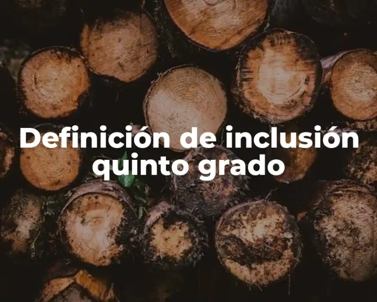 Definición de inclusión quinto grado