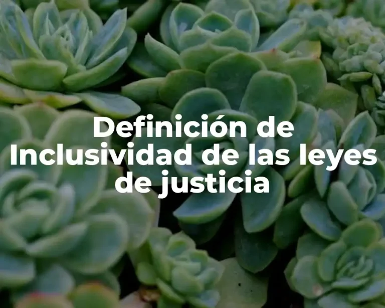 Definición de Inclusividad de las leyes de justicia