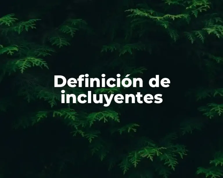 Definición de incluyentes