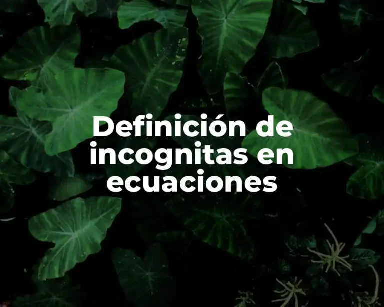 Definición de incognitas en ecuaciones