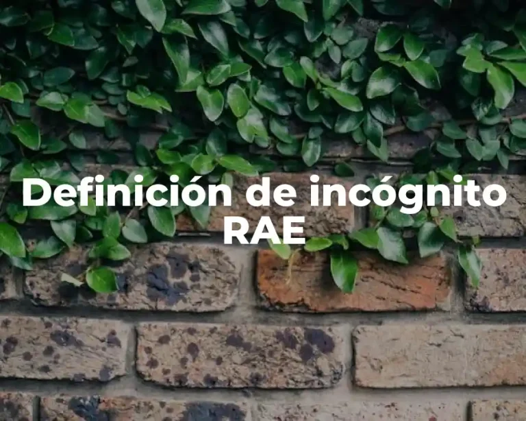 Definición de incógnito RAE