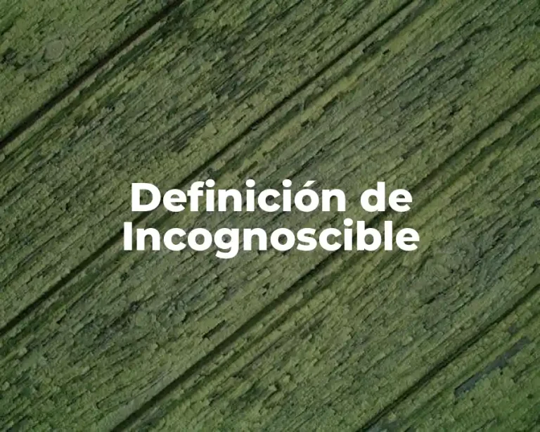 Definición de Incognoscible