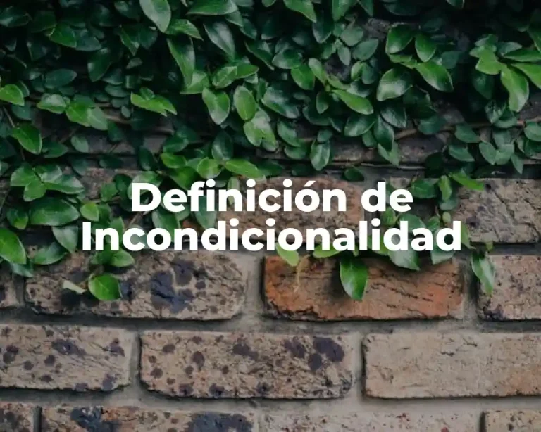 Definición de Incondicionalidad