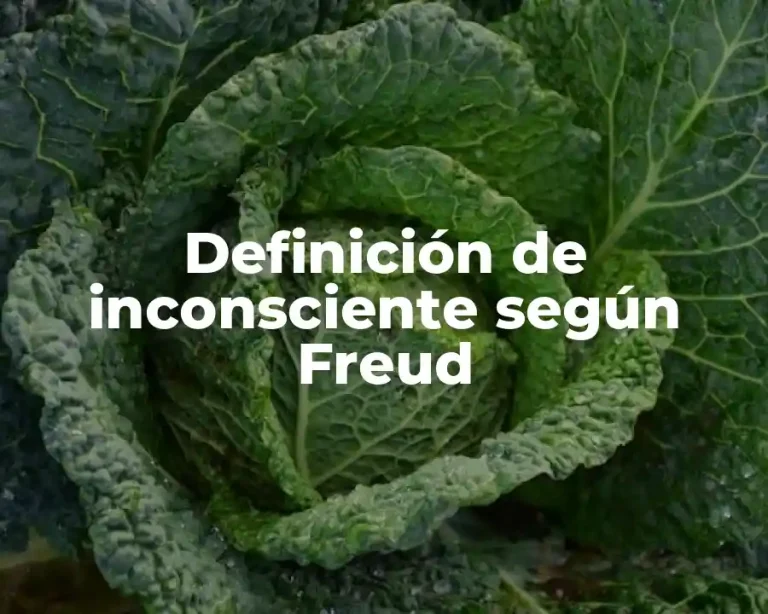 Definición de inconsciente según Freud