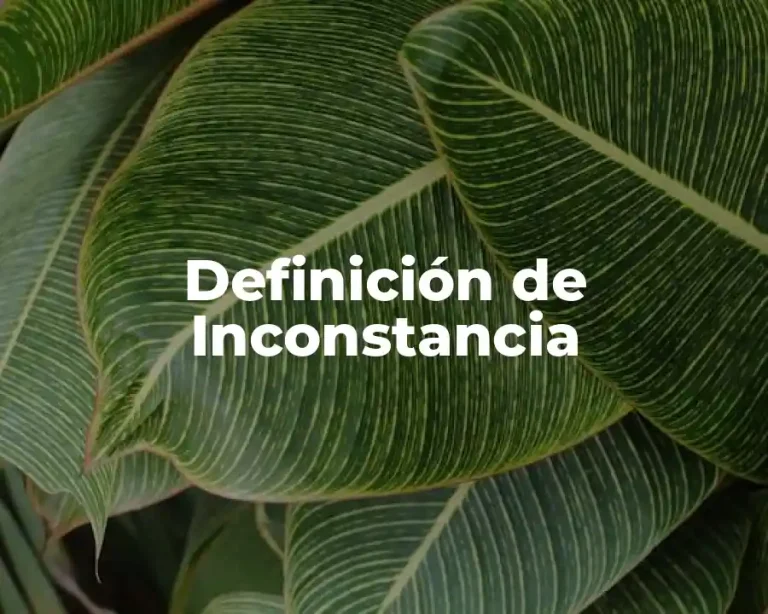 Definición de Inconstancia