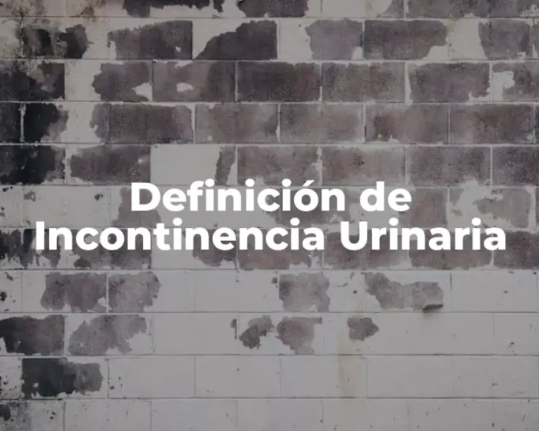 Definición de Incontinencia Urinaria