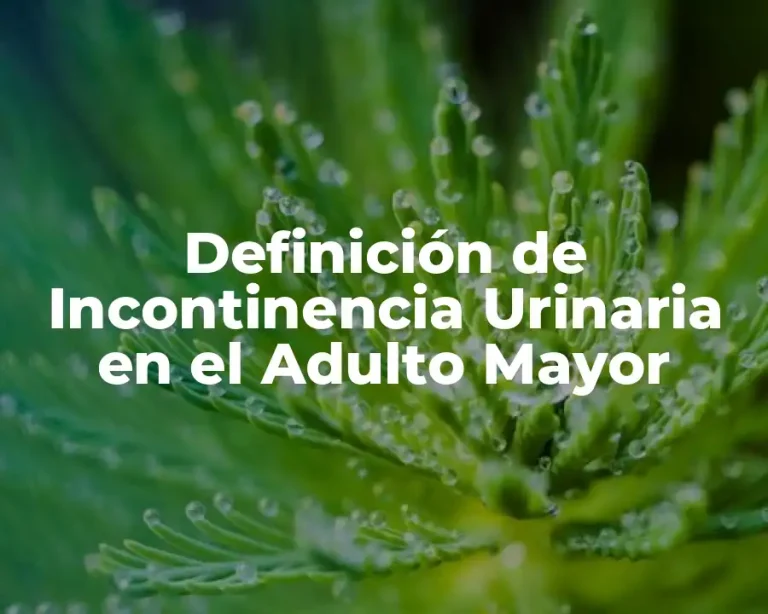 Definición de Incontinencia Urinaria en el Adulto Mayor