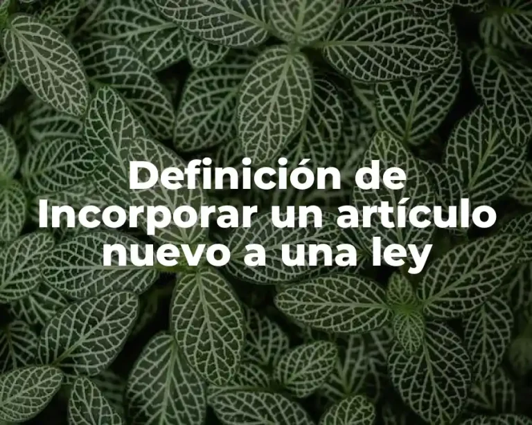 Definición de Incorporar un artículo nuevo a una ley
