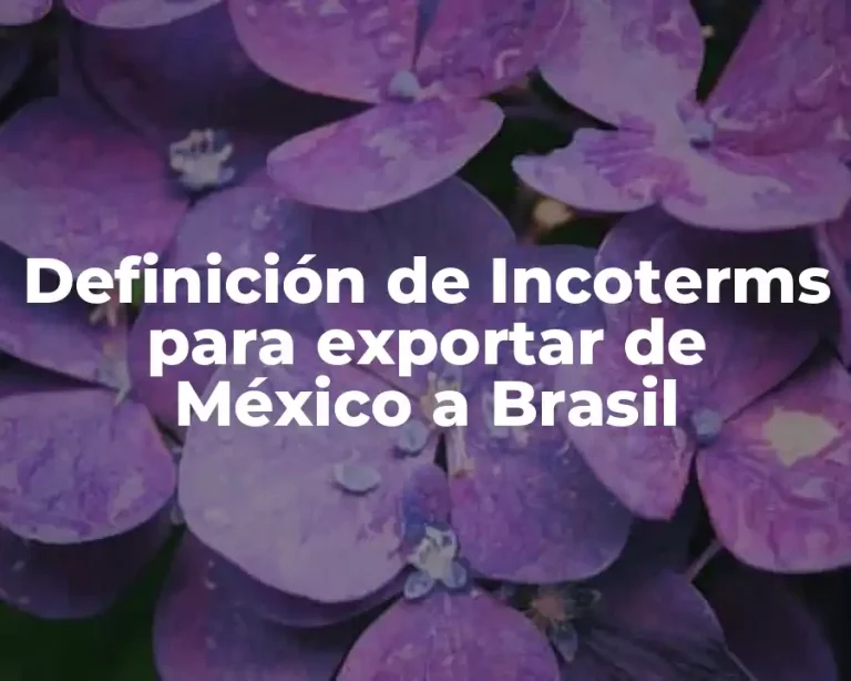 Definición de Incoterms para exportar de México a Brasil
