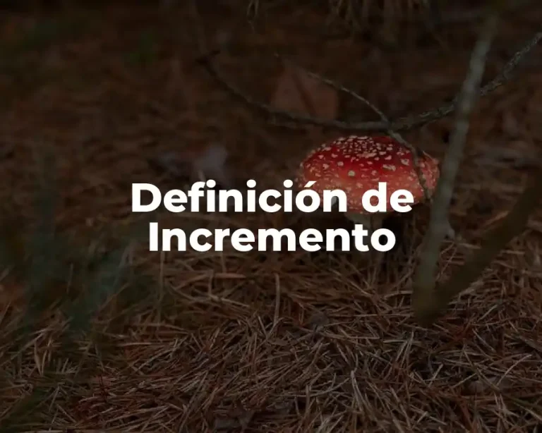 Definición de Incremento