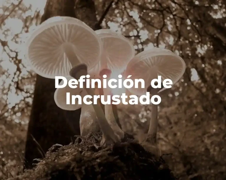 Definición de Incrustado